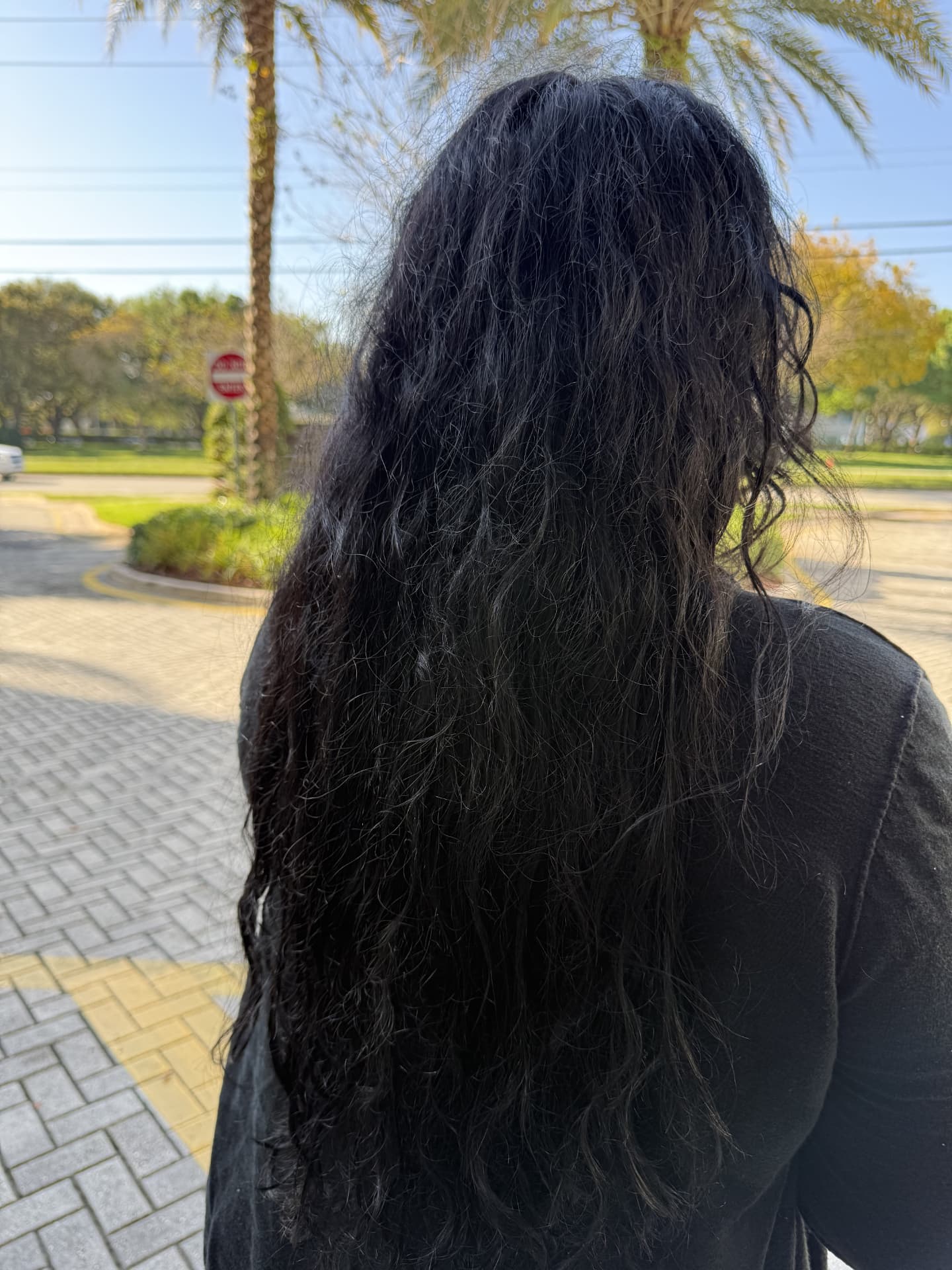 Hair before Angel Hair treatment, result 1